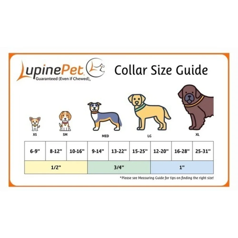 Lupine Pet Dog Collar Earth Day - 3/4 Inch width NWOT 13-22